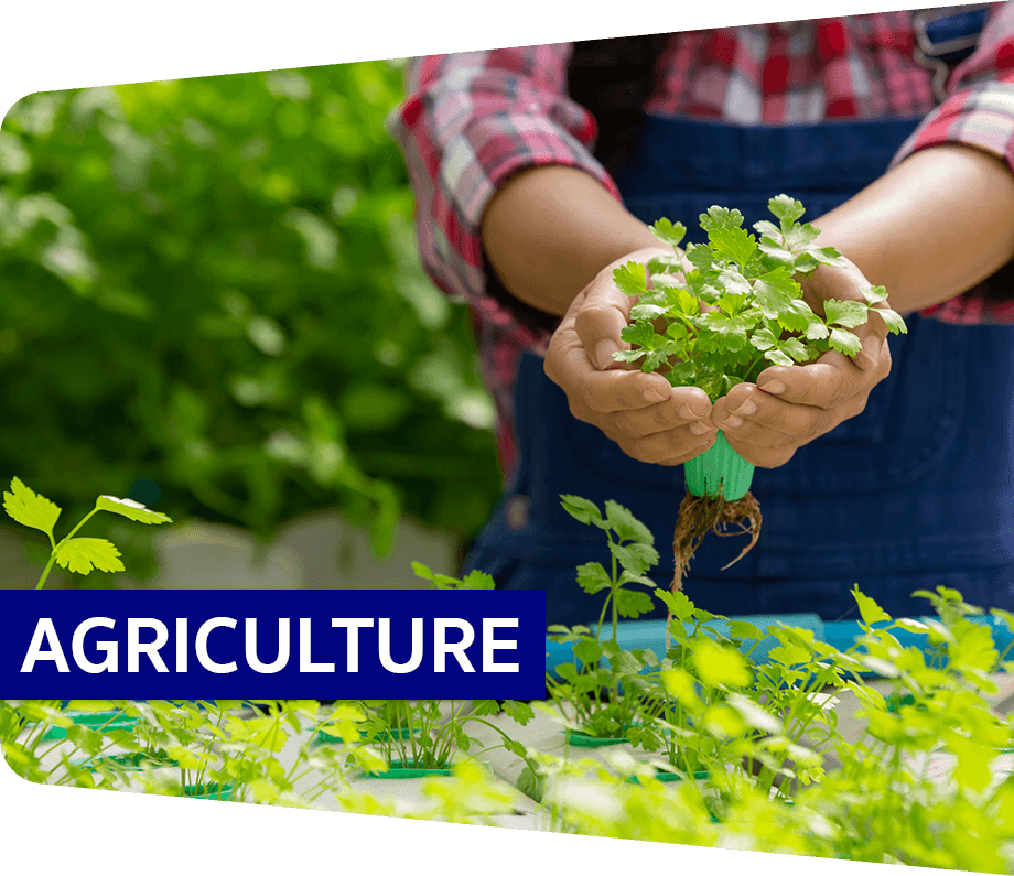 agriculture